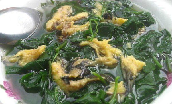 canh mồng tơi ngon bổ rẻ canh mồng tơi ngon bổ rẻ