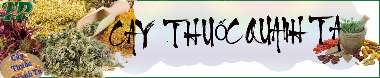bai thuoc qanh ta bai thuoc qanh ta
