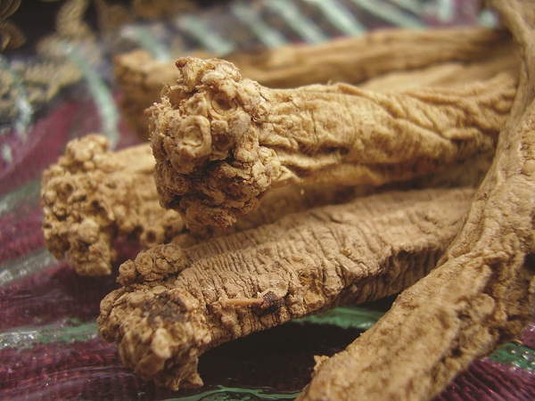 Bài thuốc chữa rụng tóc hiệu quả