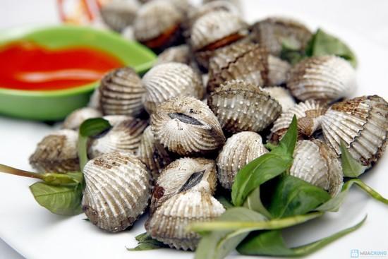 Bài thuốc hay từ sò huyết tốt cho sức khỏe