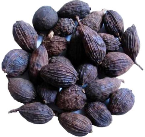 Bài thuốc hay từ thảo quả trị ho đờm, ấm bụng