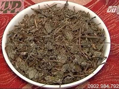 Địa Chỉ Bán Chè Dây Tại Huyện Từ Liêm