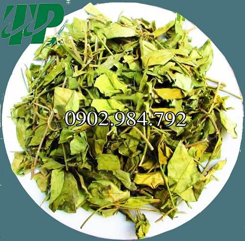 Địa Chỉ Bán Dây Thìa Canh Tại Tphcm