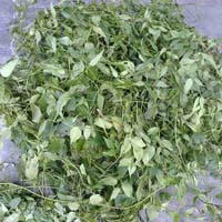 Địa chỉ mua bán chè vằng tại Vĩnh Phúc giao hàng nhanh