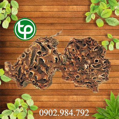 mua bán bí kỳ nam tại tphcm ở đâu ?