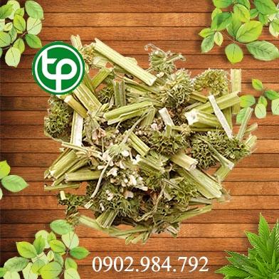 mua bán cây ích mẫu tại tphcm ở đâu ?