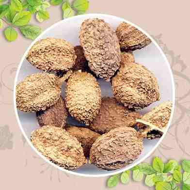 mua bán cây sa nhân tại tphcm ở đâu ?