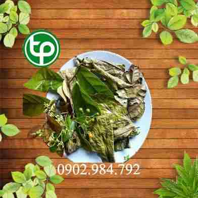 mua bán cây xạ đen tại tphcm ở đâu ?