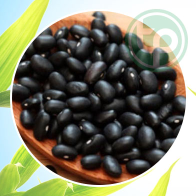 mua bán đậu đen xanh lòng tại tphcm ở đâu ?