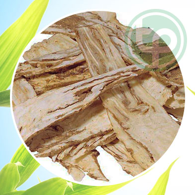 mua bán đương quy tại tphcm ở đâu ?