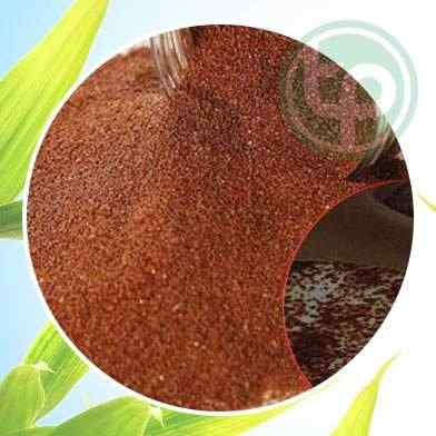 mua bán hạt đình lịch tại tphcm ở đâu ?