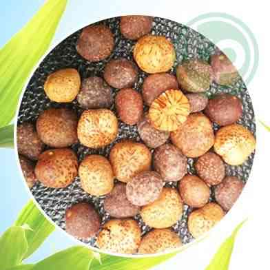 mua bán hạt mây rừng ở đâu ?