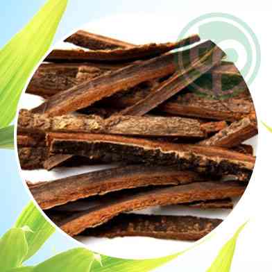 mua bán hậu phác tại tphcm ở đâu ?