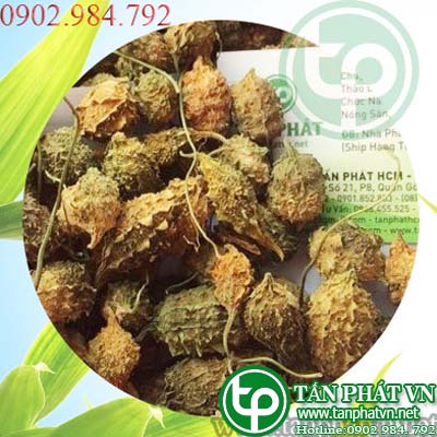 mua bán khổ rừng ở đâu?