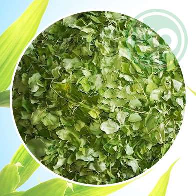 mua bán lá chùm ngây tại tphcm ở đâu ?