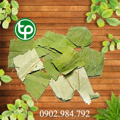 mua bán lá sen tại tphcm ở đâu ?