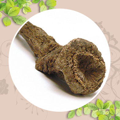 mua bán mộc hương tại tphcm ở đâu ?