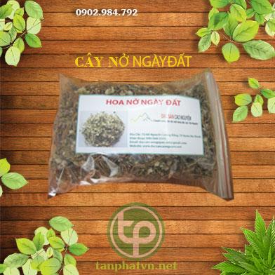 mua bán nở ngày đất tại tphcm ở đâu ?