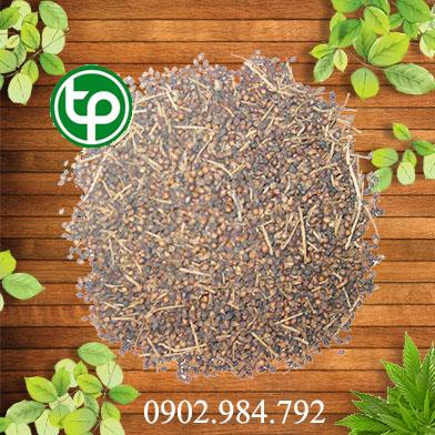 mua bán nụ vối tại tphcm ở đâu ?