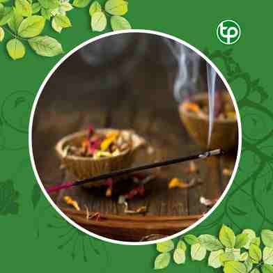 mua bán thuốc xông nhà tại tphcm ở đâu ?