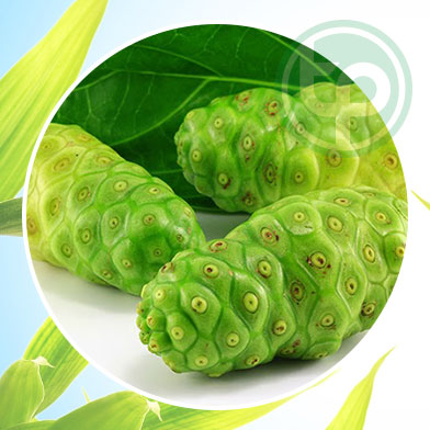 mua bán trái nhàu tại tphcm ở đâu ?