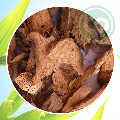 mua thiên liên kiện tại tphcm ở đâu ?