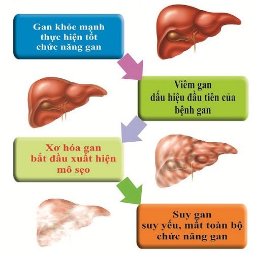 Những bài thuốc chữa bệnh thần kỳ từ khổ qua