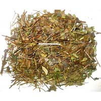 Phân phối mua bán chè vằng tại tphcm giá tốt