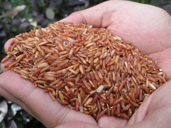 Sai lầm khi ăn gạo lứt thường xuyên để giảm cân