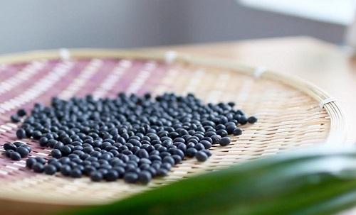 Tác dụng chữa bệnh thần kỳ từ đậu tương đen