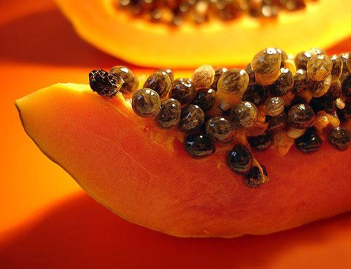 uóng hạt đu đủ mỗi ngày cho công dụng tốt