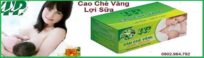cong dung cua cao che vang