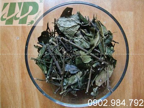 Mua Bán Chè Vằng Khô Tự Nhiên Tại TPHCM