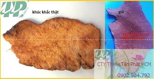 phan biet khuc khac that gia