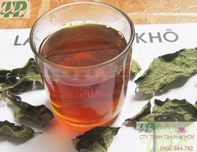 Mua Bán Cây Xạ Đen tại Hòa Bình