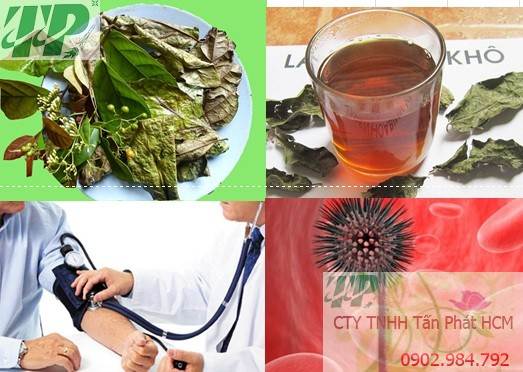 Mua Bán Cây Xạ Đen tại Bắc Giang