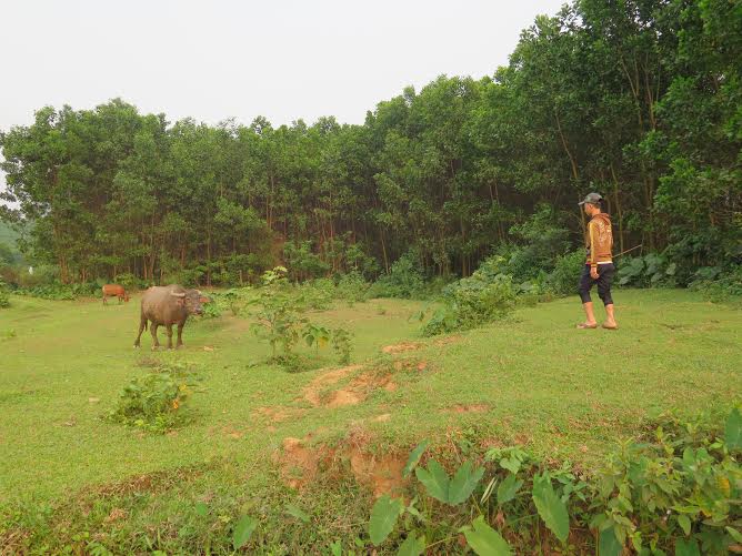 Người phụ nữ tâm thần U60 tố bị cậu bé 15 tuổi hiếp