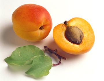 quả mơ tốt cho sức khỏe